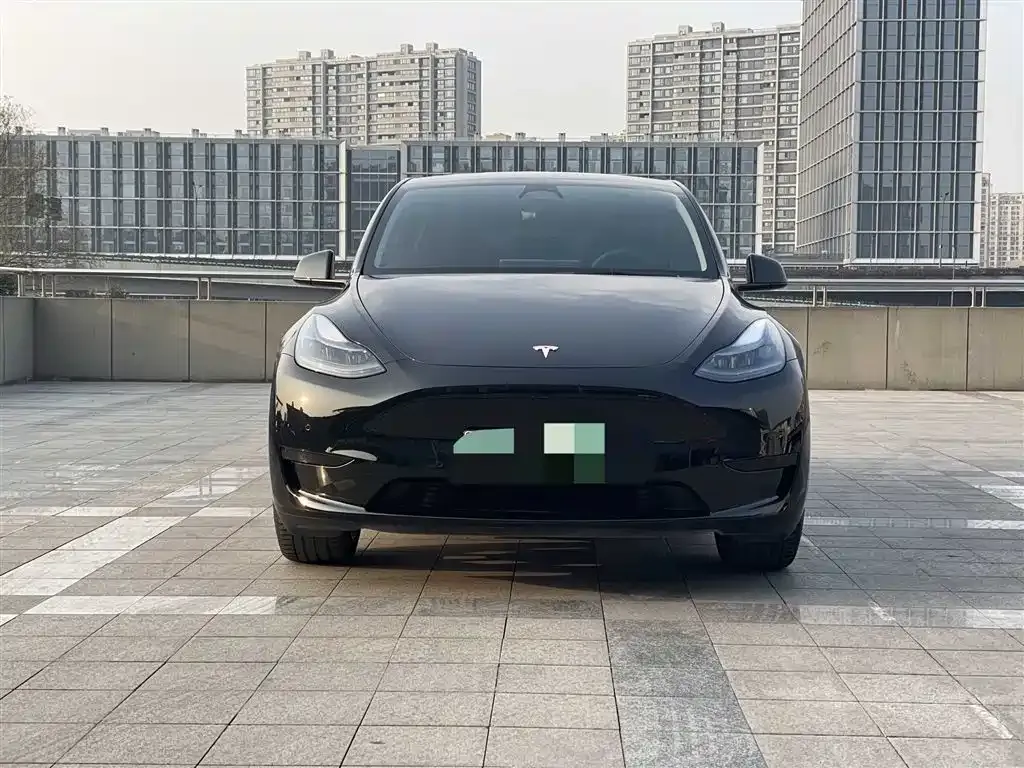 Tesla Model Y — фото 9