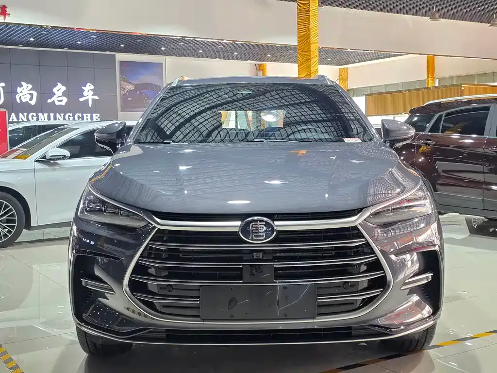 BYD Tang New Energy 2023 из CN, фото 2