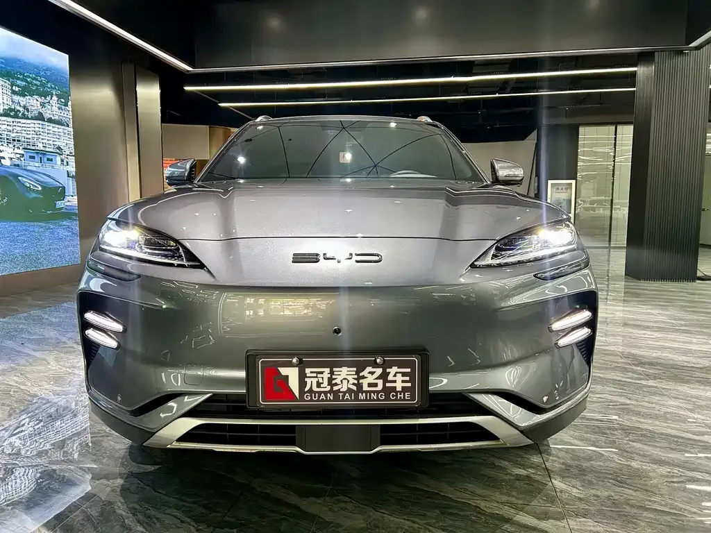 BYD PLUS New Energy 2023 из CN, фото 2