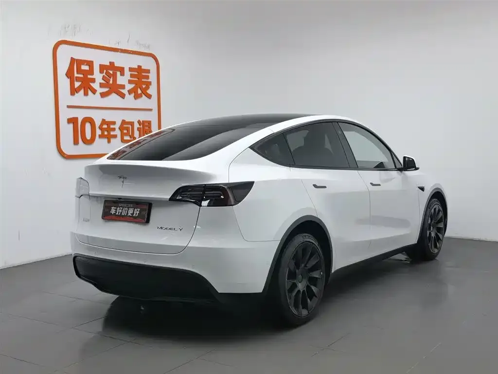 Tesla Model Y 2021 из CN, фото 2