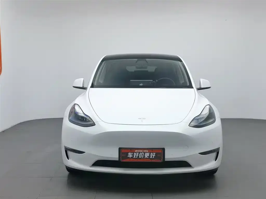 Tesla Model Y 2021 из CN, фото 3