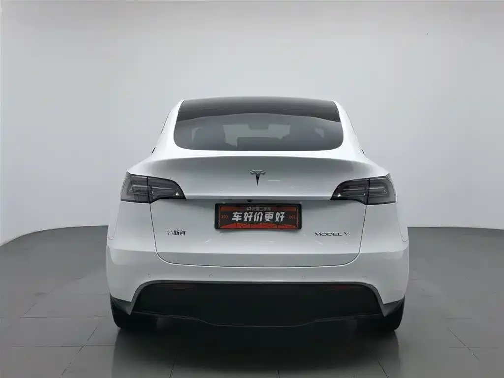 Tesla Model Y 2021 из CN, фото 4