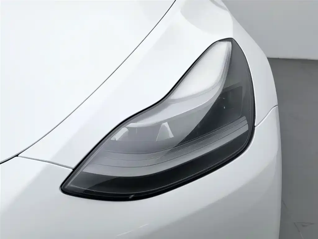 Tesla Model Y 2021 из CN, фото 7