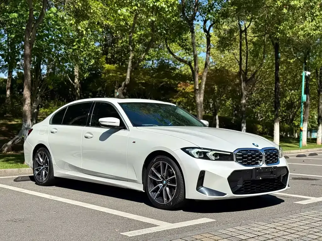BMW 3 Series 2022 из CN, фото 3