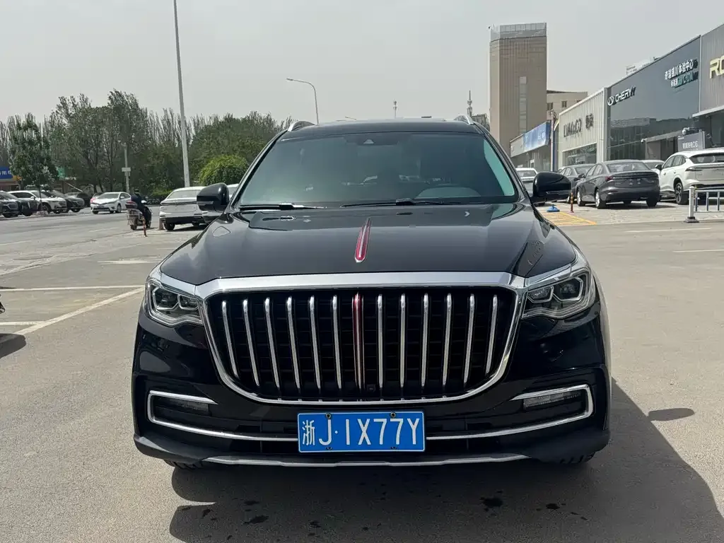 Hongqi HS7 2023 из CN, фото 2