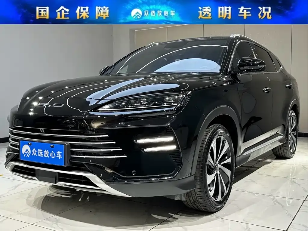 BYD PLUS New Energy 2024 из CN, фото 1