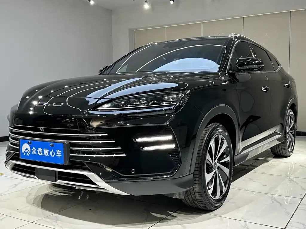 BYD PLUS New Energy 2024 из CN, фото 2