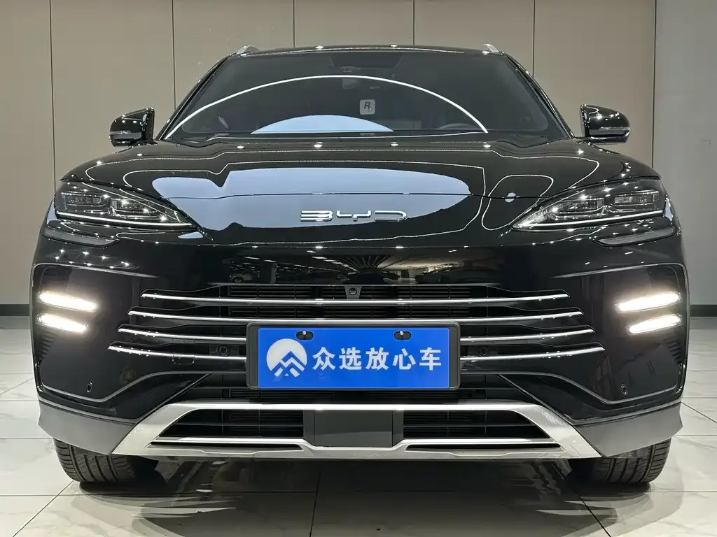 BYD PLUS New Energy 2024 из CN, фото 3
