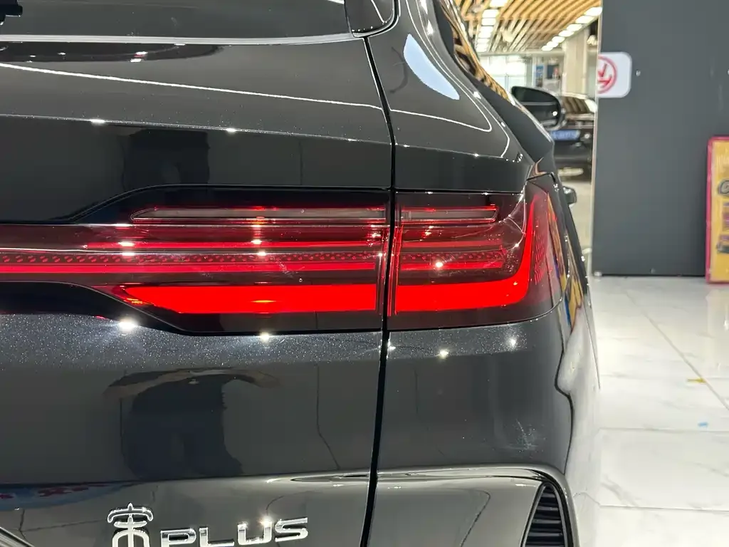 BYD PLUS New Energy 2024 из CN, фото 8