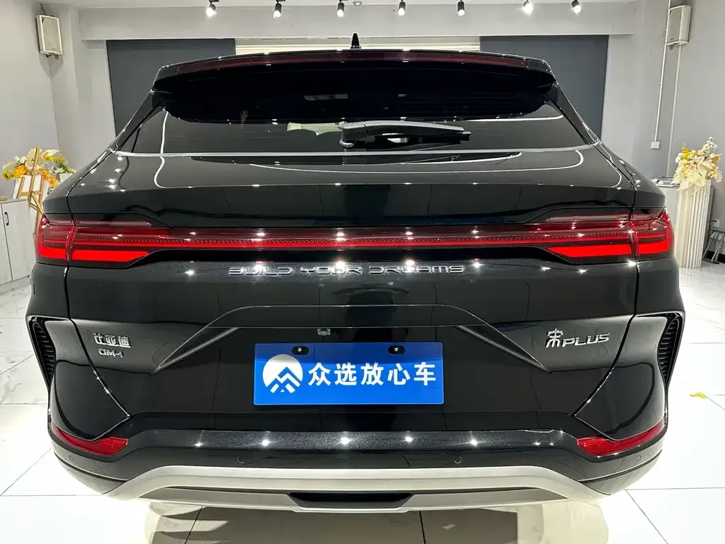 BYD PLUS New Energy 2024 из CN, фото 9