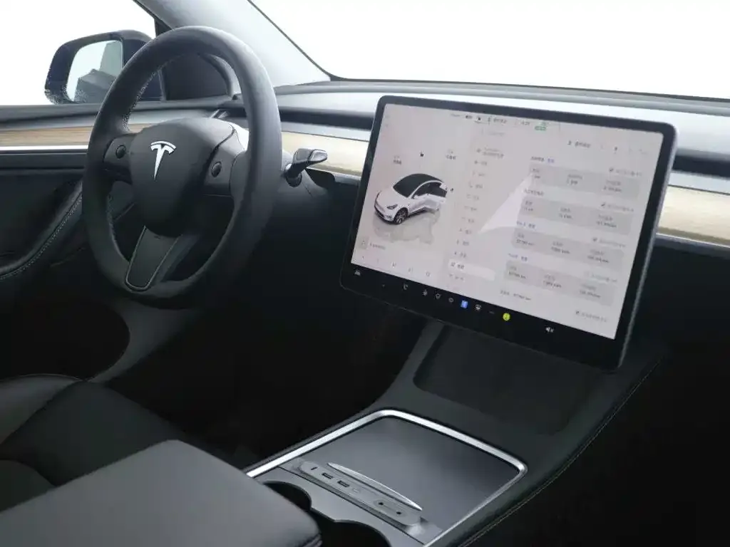 Tesla Model Y 2023 из CN, фото 9