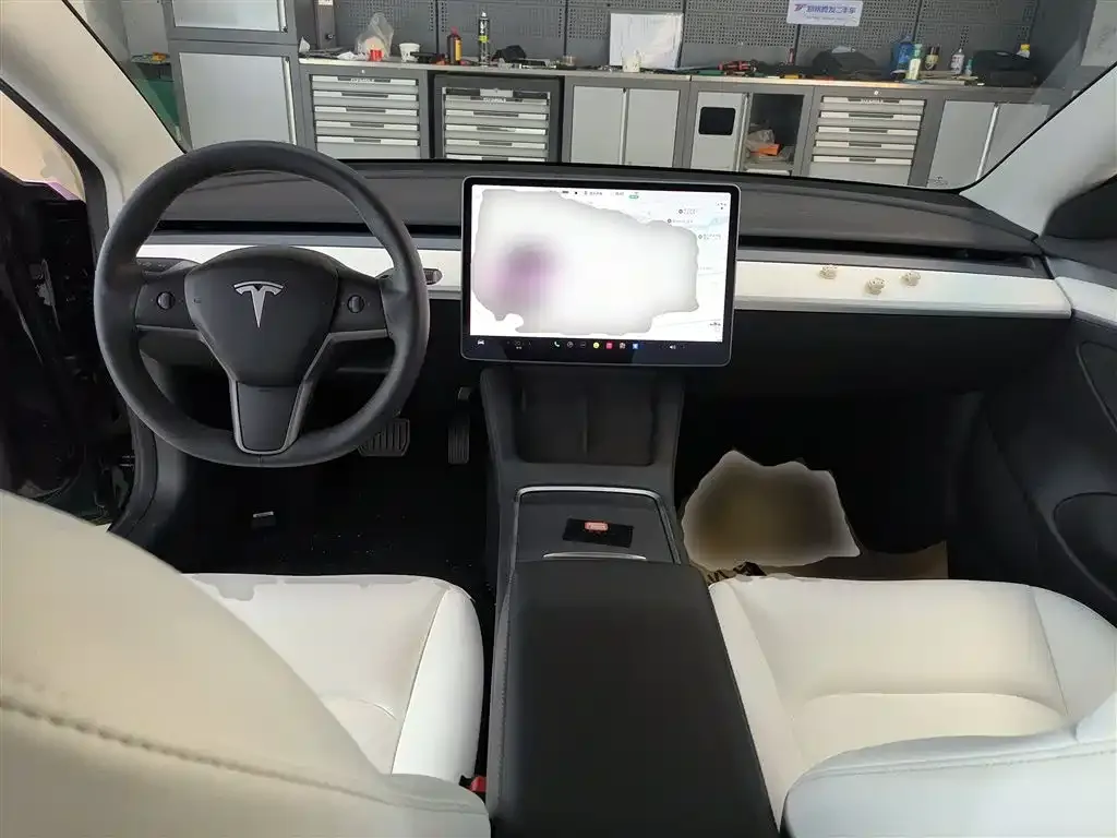 Tesla Model 3 2021 из CN, фото 10