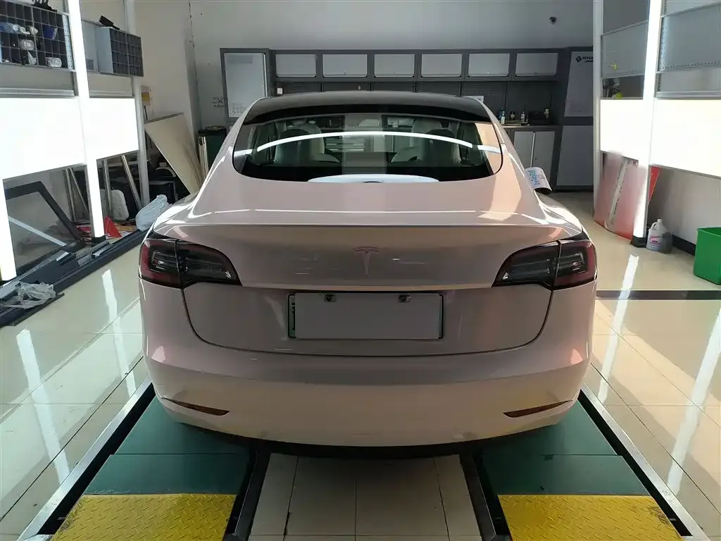 Tesla Model 3 2021 из CN, фото 6