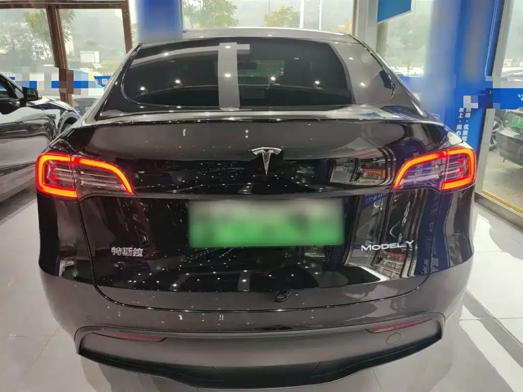 Tesla Model Y 2023 из CN, фото 6