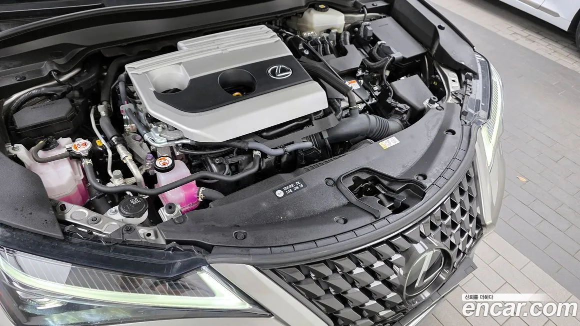 Lexus UX 2024 из KR, фото 6