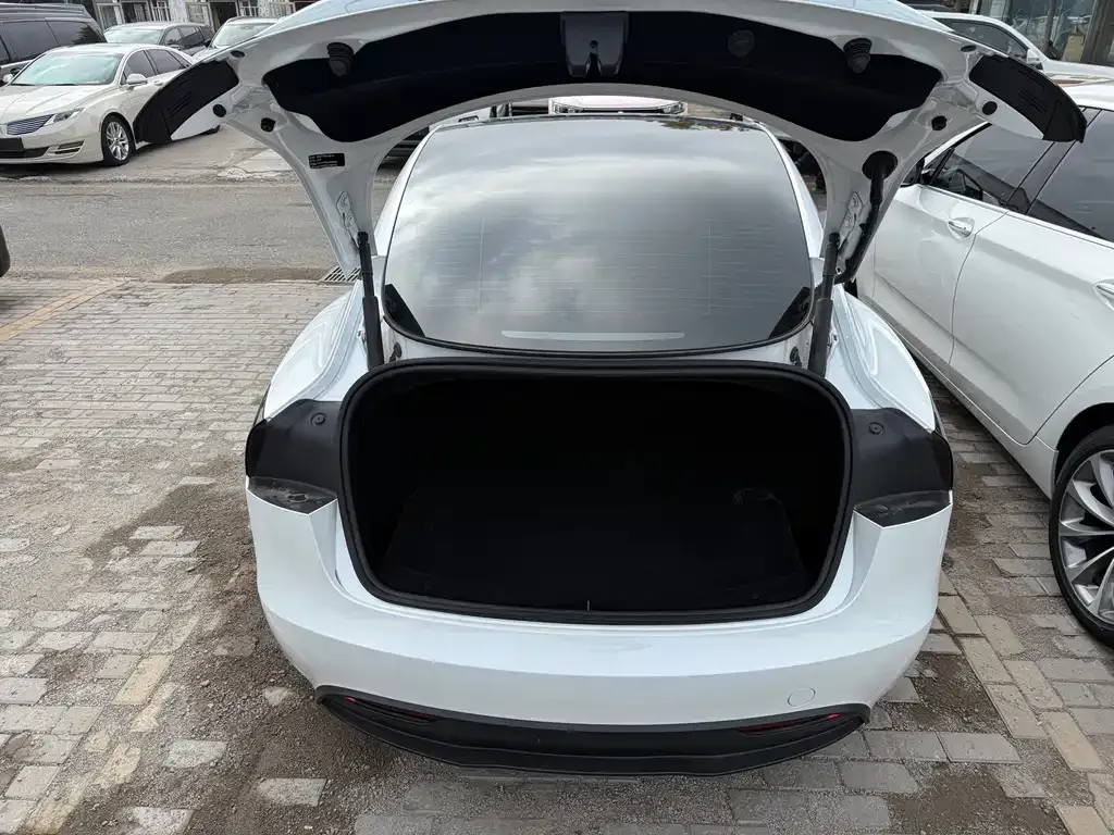 Tesla Model 3 2024 из CN, фото 9