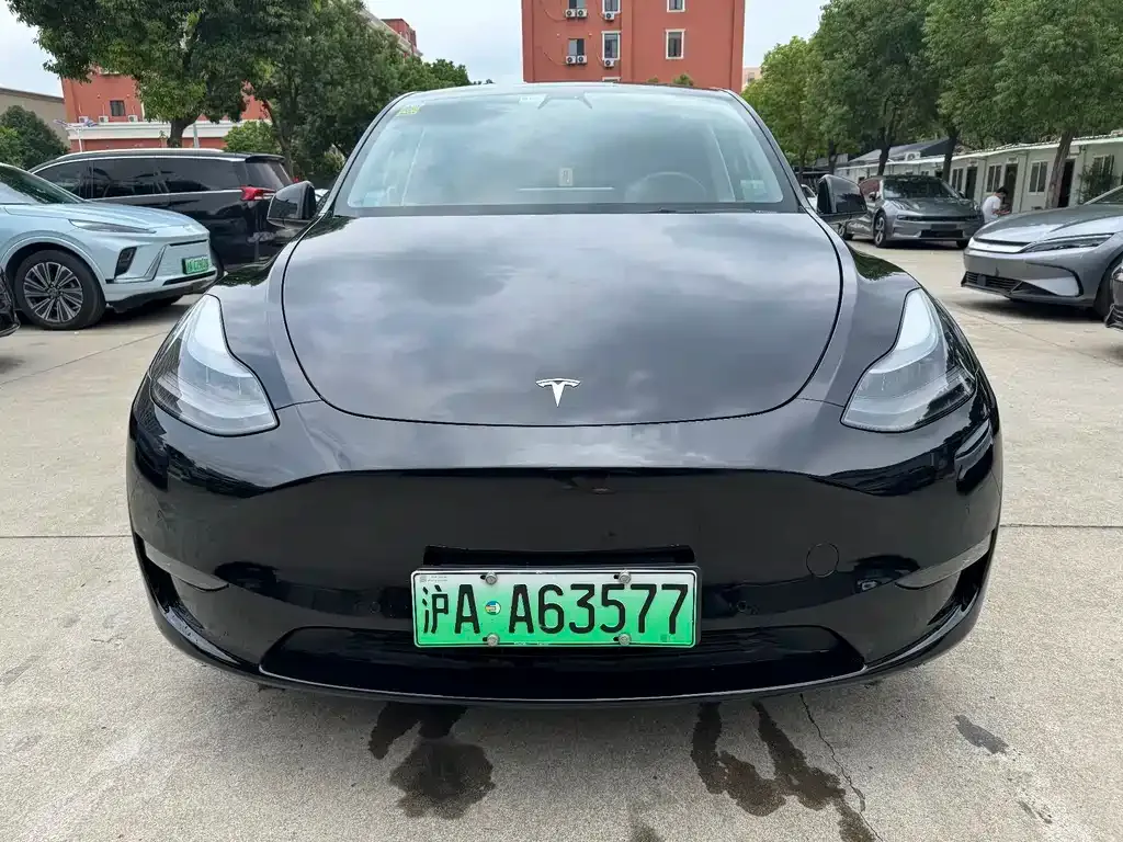 Tesla Model Y 2021 из CN, фото 1