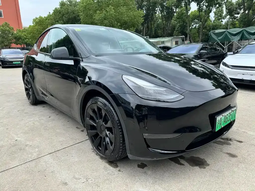 Tesla Model Y 2021 из CN, фото 2