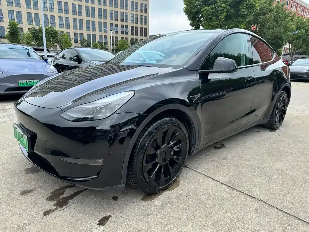 Tesla Model Y 2021 из CN, фото 3