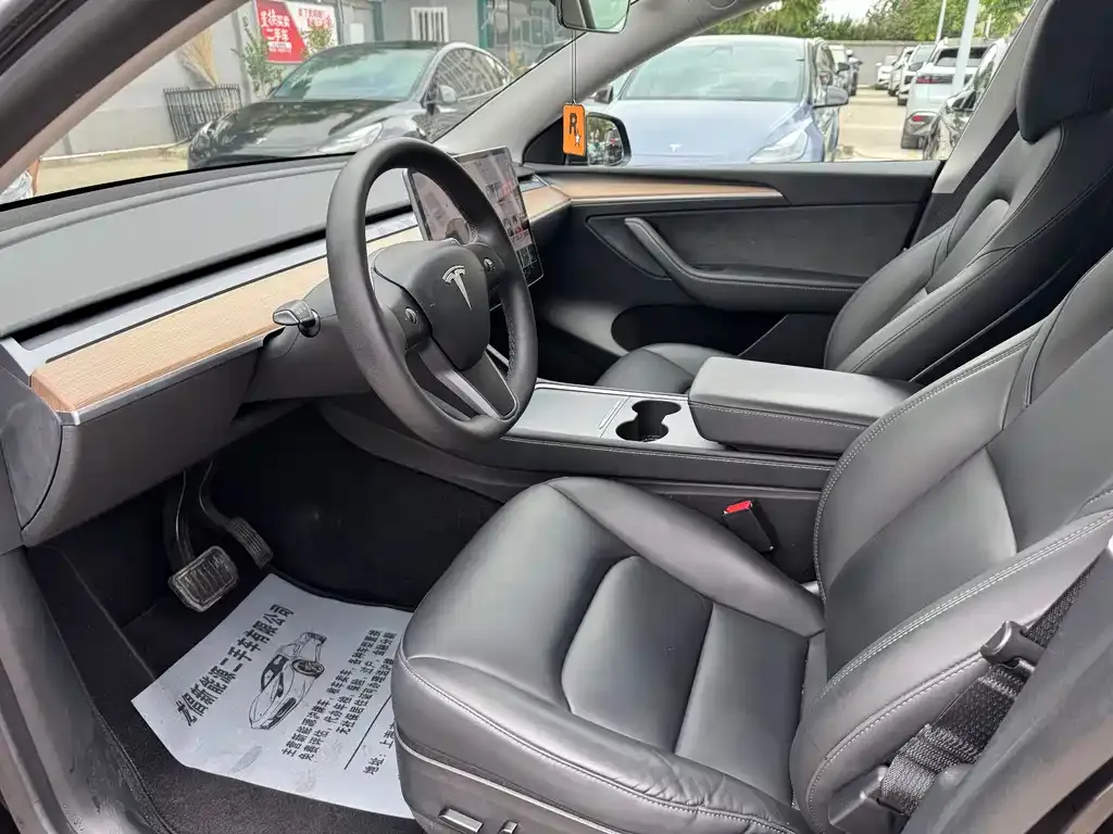 Tesla Model Y 2021 из CN, фото 4