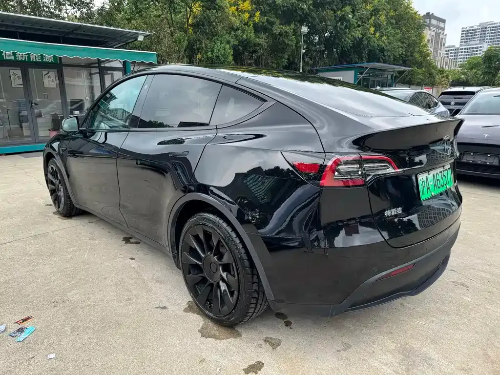 Tesla Model Y 2021 из CN, фото 7