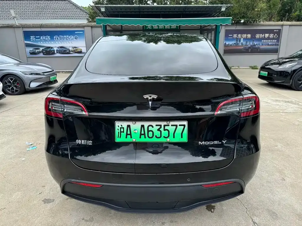 Tesla Model Y 2021 из CN, фото 8