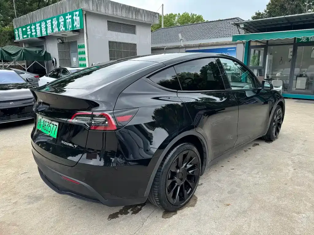 Tesla Model Y 2021 из CN, фото 9