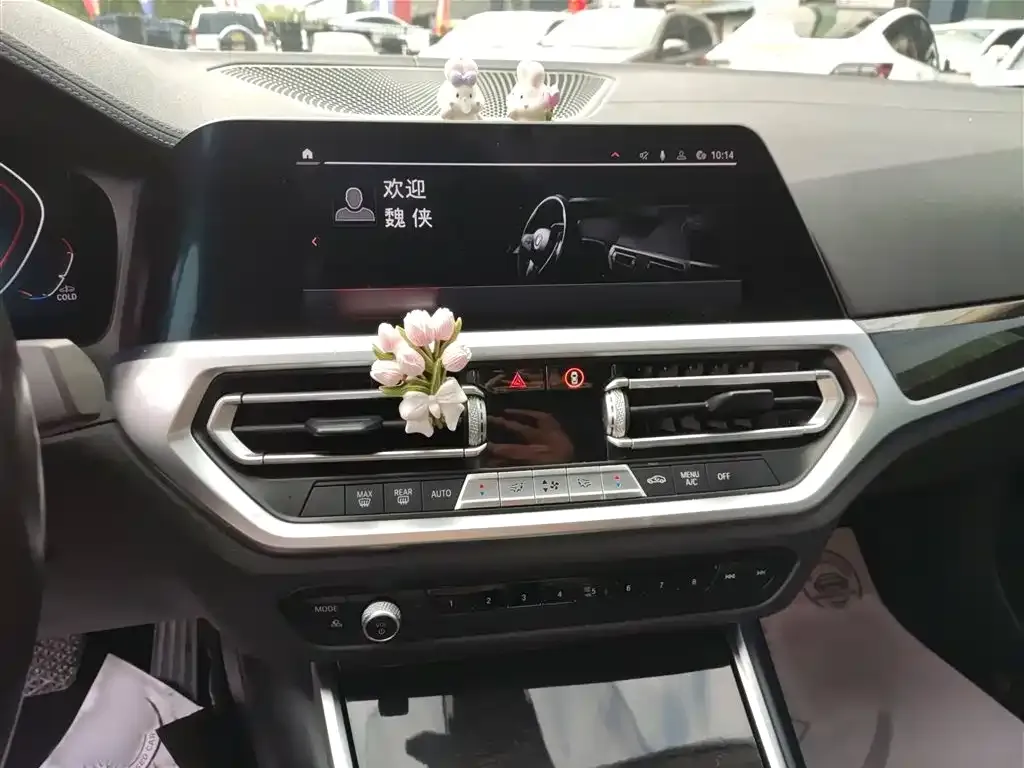 BMW 3 Series 2021 из CN, фото 5