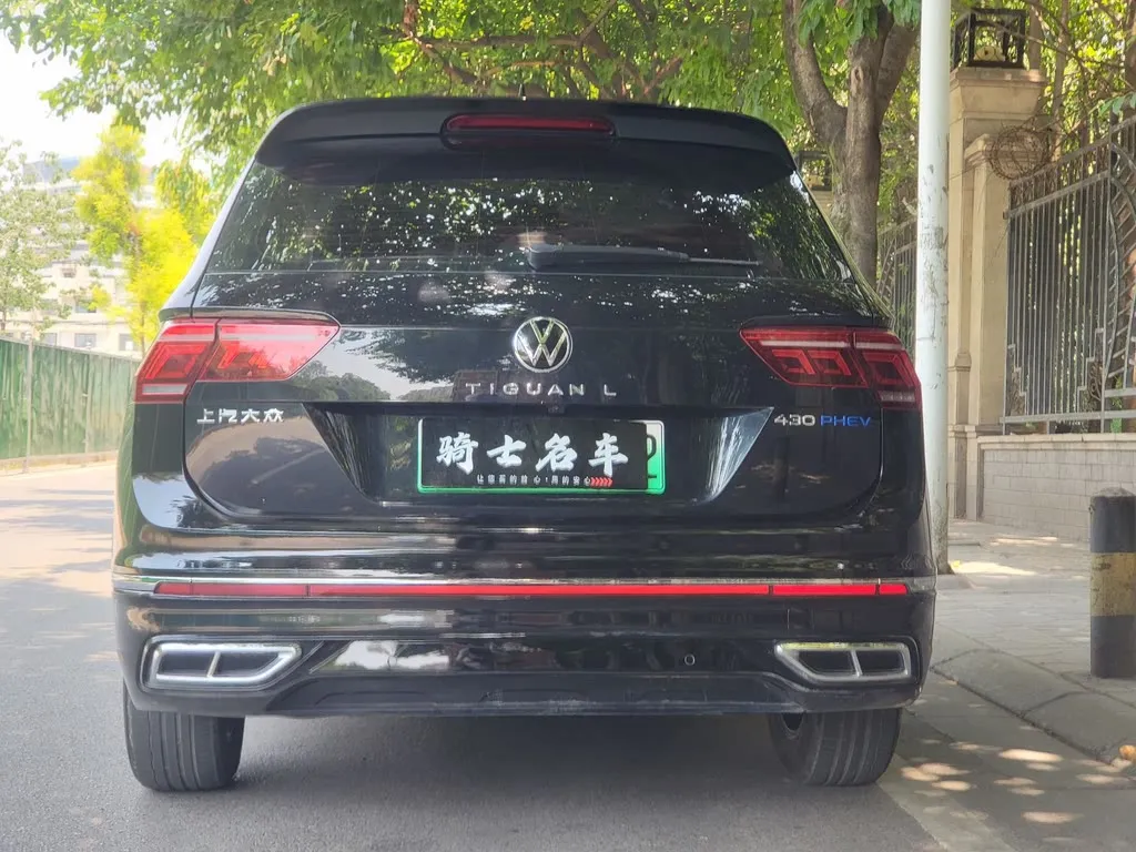Volkswagen Tiguan L New Energy 2023 из CN, фото 5