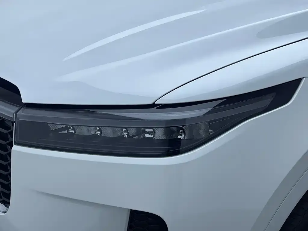 Li Auto ONE 2022 из CN, фото 10