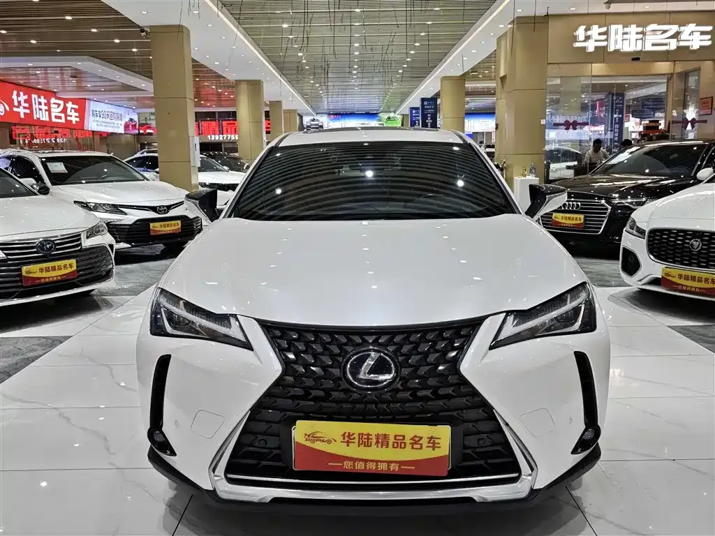 Lexus UX New Energy 2022 из CN, фото 2
