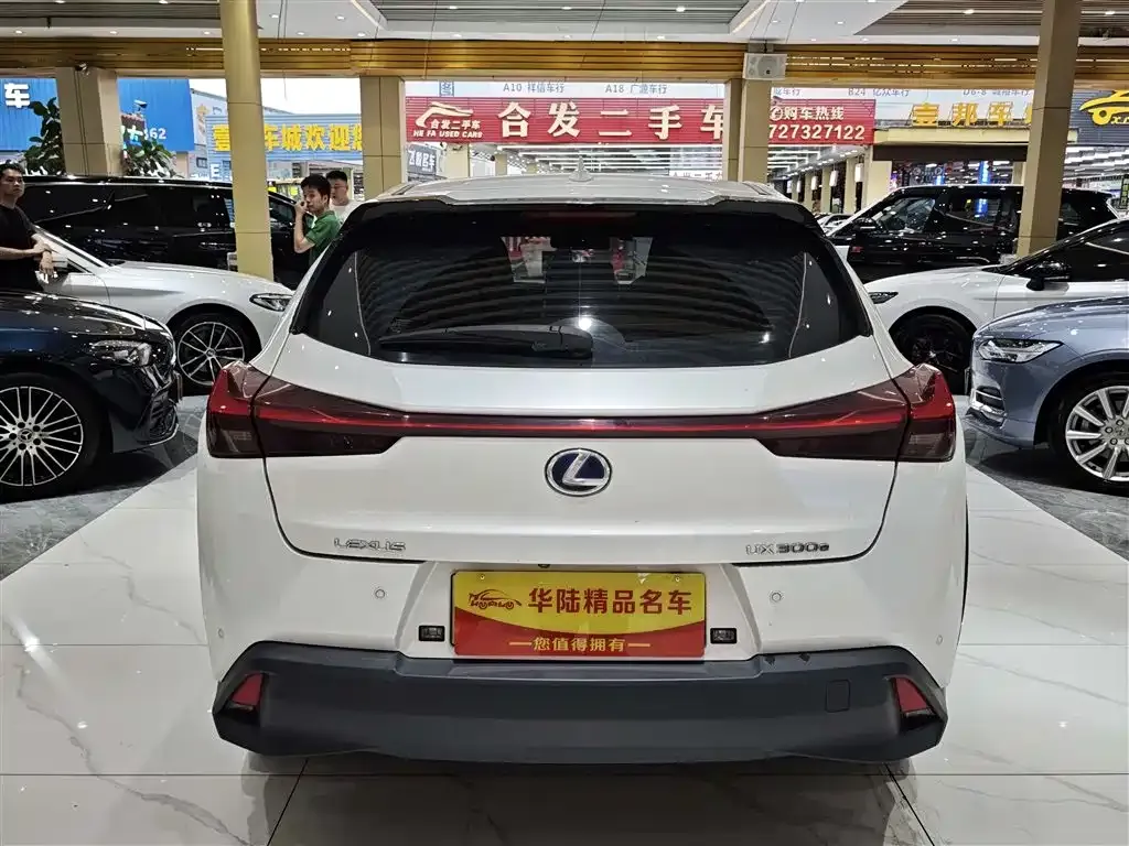 Lexus UX New Energy 2022 из CN, фото 4