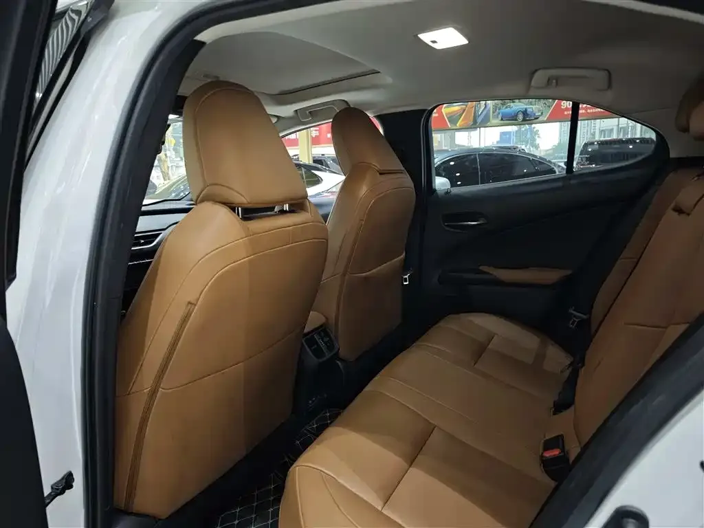 Lexus UX New Energy 2022 из CN, фото 7