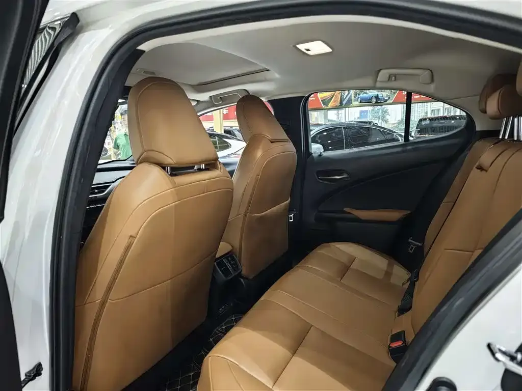 Lexus UX New Energy 2022 из CN, фото 8