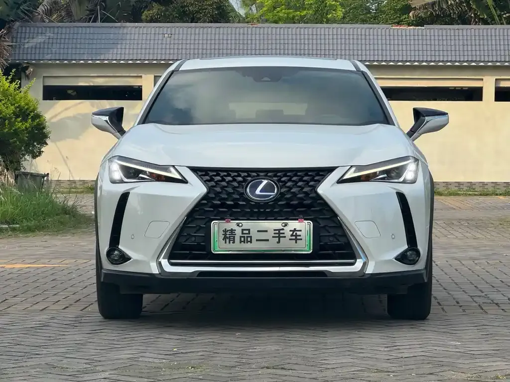 Lexus UX New Energy 2022 из CN, фото 1