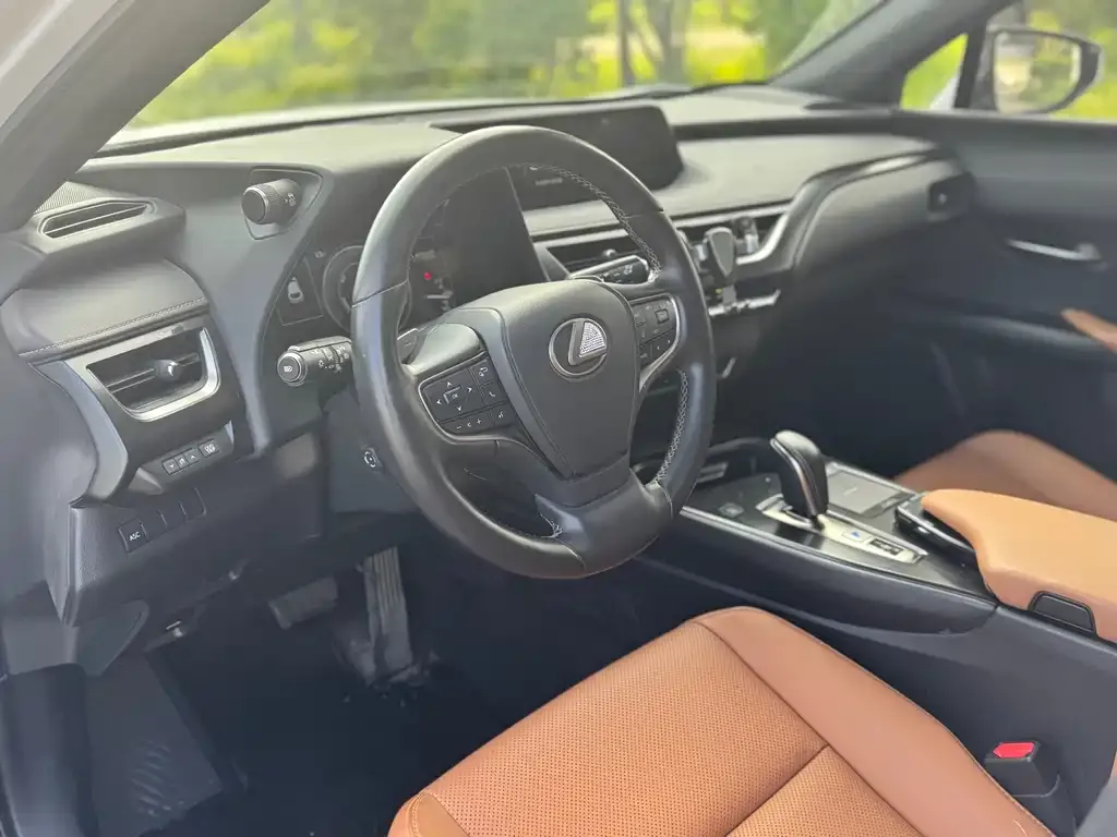 Lexus UX New Energy 2022 из CN, фото 10