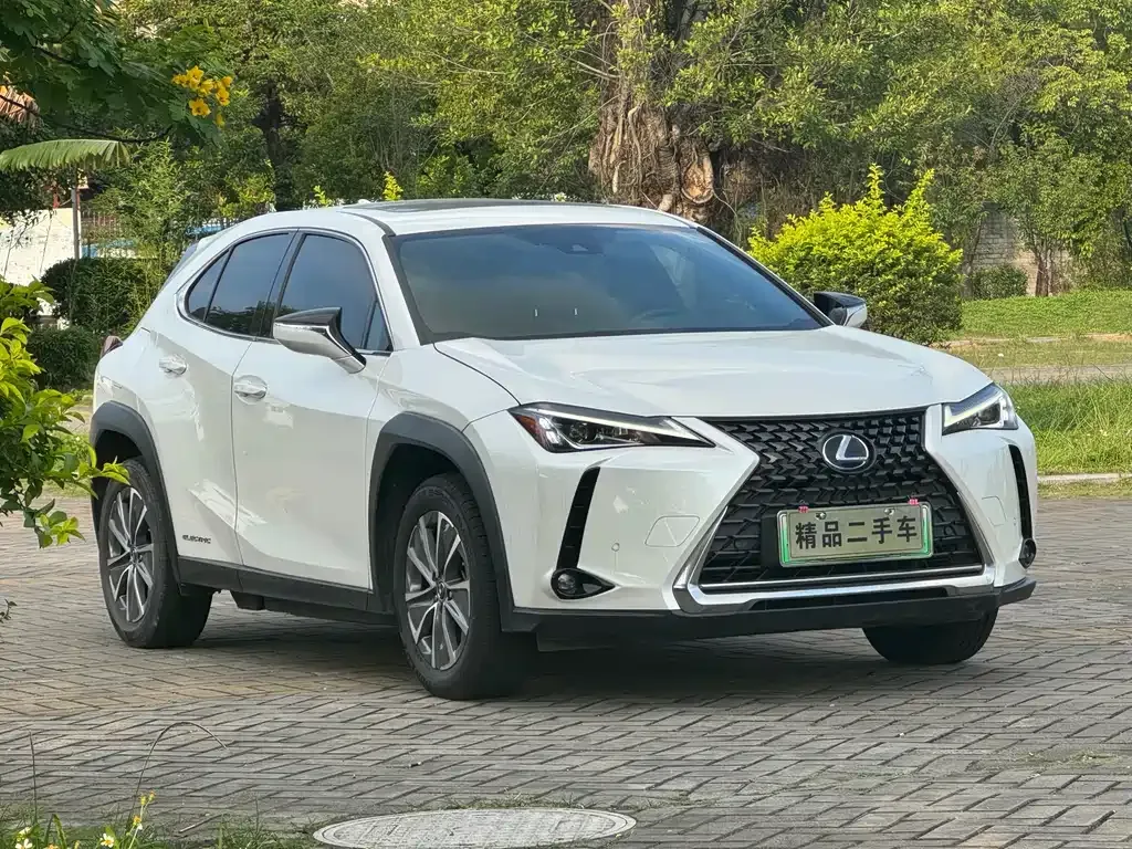 Lexus UX New Energy 2022 из CN, фото 2