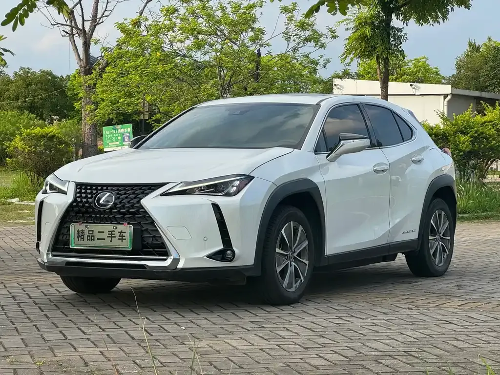 Lexus UX New Energy 2022 из CN, фото 3