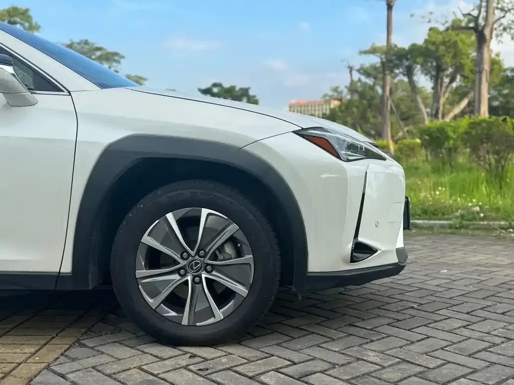 Lexus UX New Energy 2022 из CN, фото 4