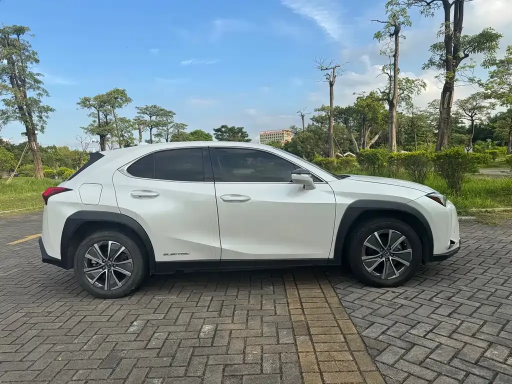 Lexus UX New Energy 2022 из CN, фото 5