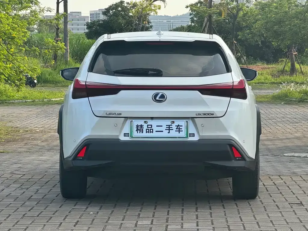 Lexus UX New Energy 2022 из CN, фото 6