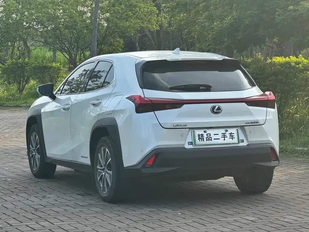 Lexus UX New Energy 2022 из CN, фото 7