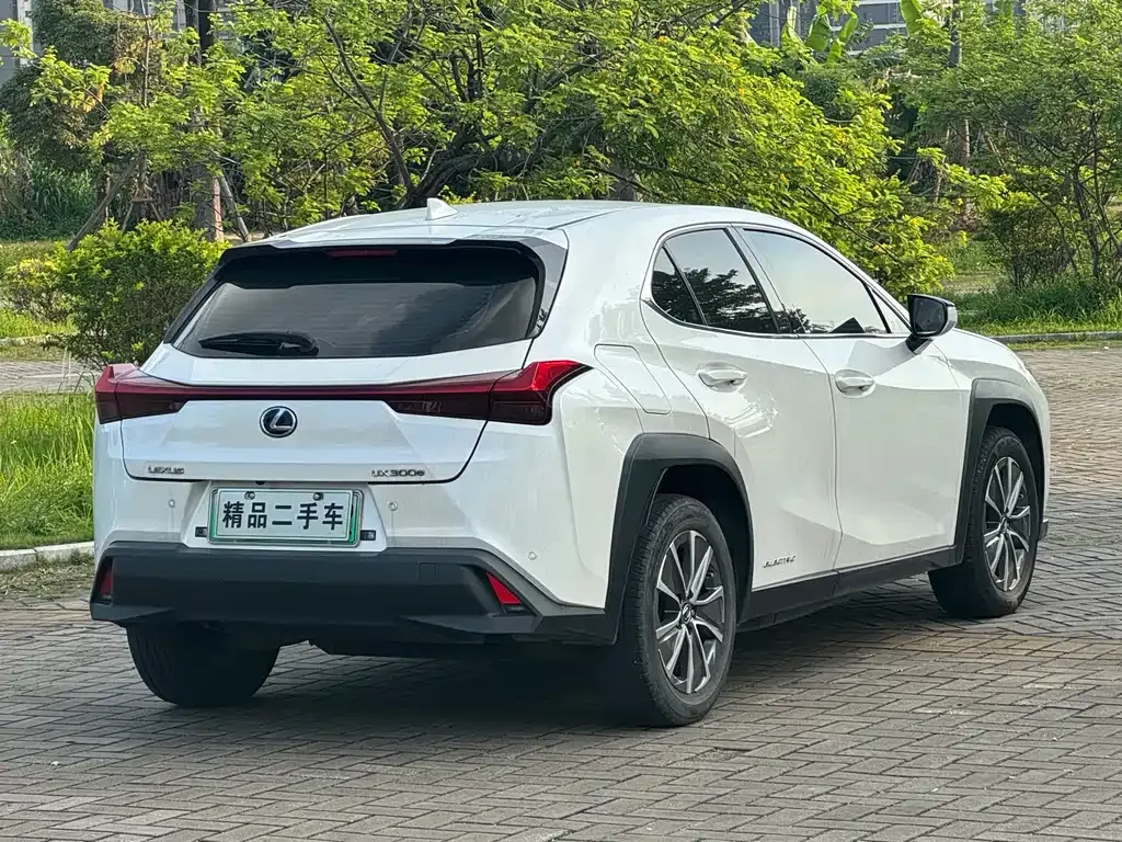 Lexus UX New Energy 2022 из CN, фото 8