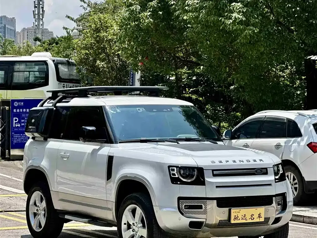 Land Rover Defender 2022 из CN, фото 3