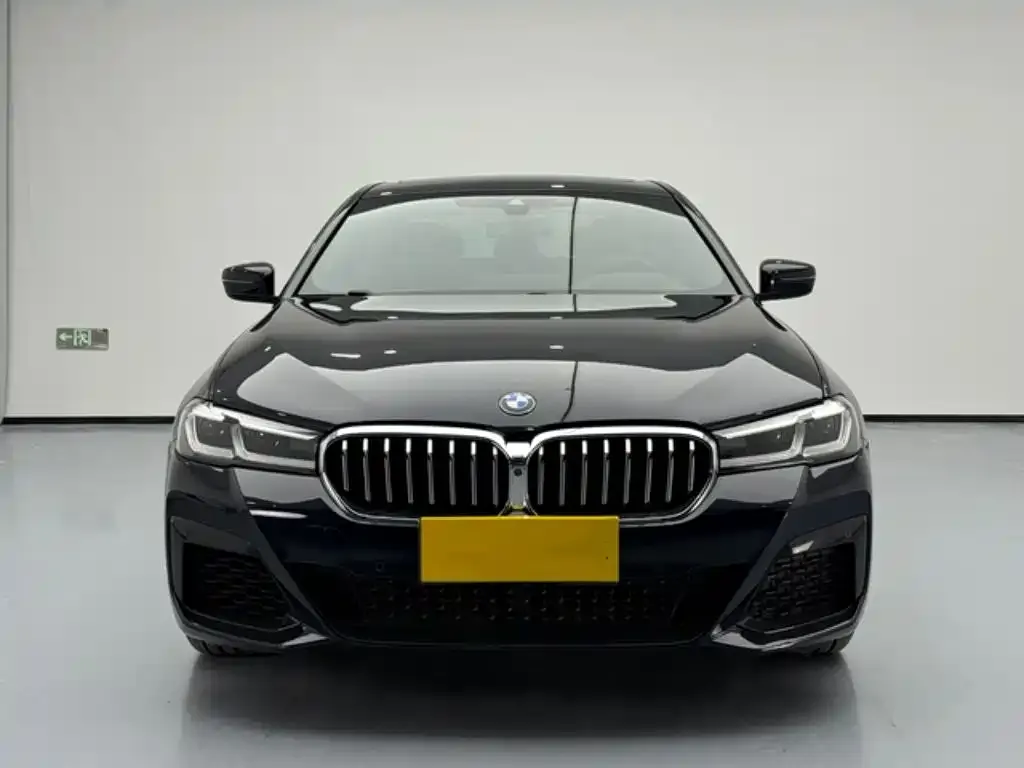 BMW 5 Series (Import) 2022 из CN, фото 5