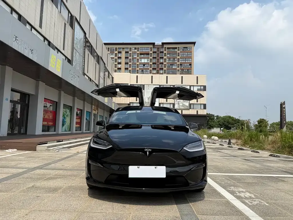 Tesla Model X 2025 из CN, фото 1