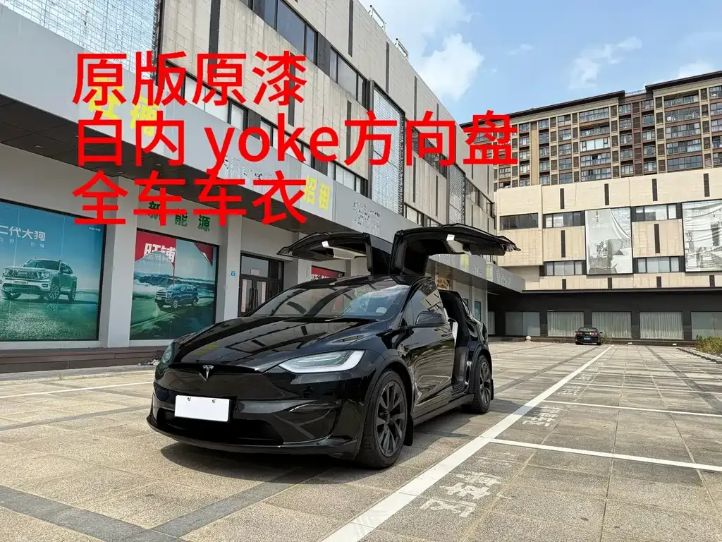 Tesla Model X 2025 из CN, фото 2