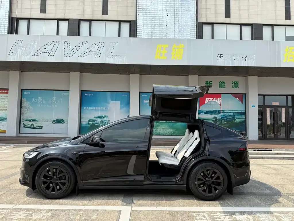 Tesla Model X 2025 из CN, фото 3