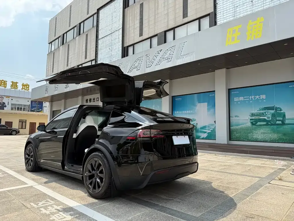 Tesla Model X 2025 из CN, фото 4