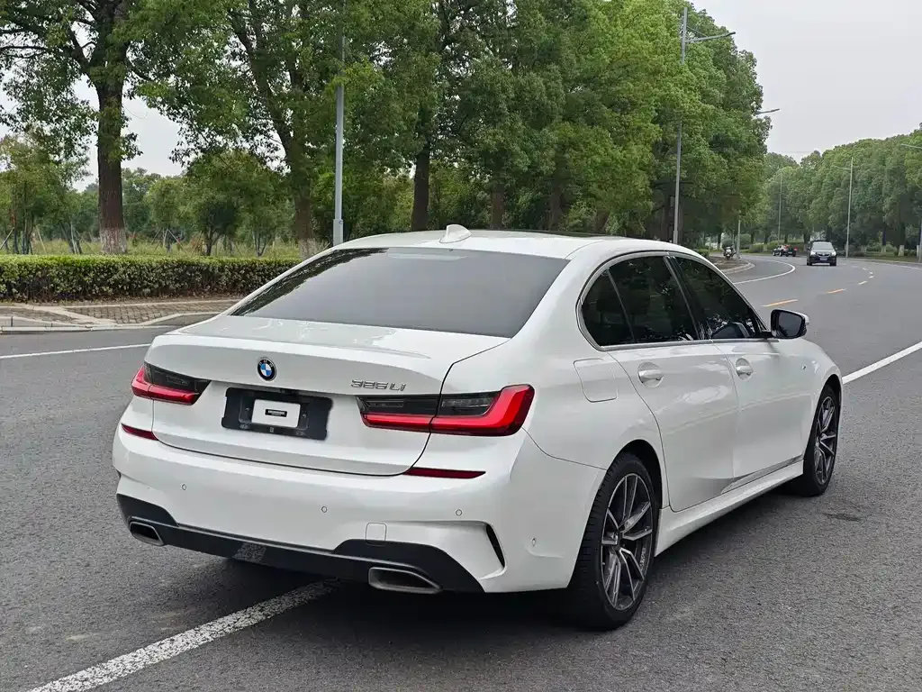 BMW 3 Series 2021 из CN, фото 6